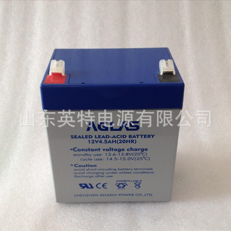 直供安佳尼蓄电池  12V4.H 卷帘门 通力电梯电池RB-FM-12V4.H