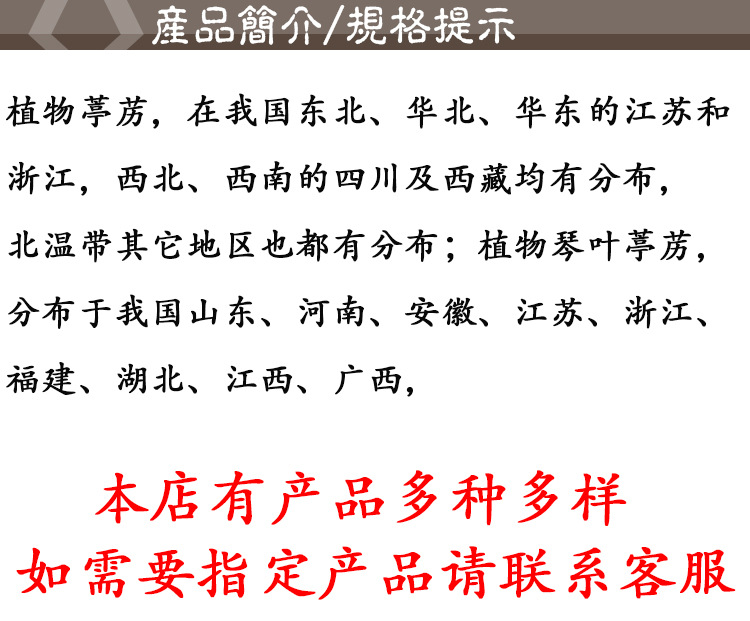 Ting Li Zi (Semen Lepidii) — Dried Food-Herb Seed, Unsulfured, Clean, Anhui Origin quality and texture