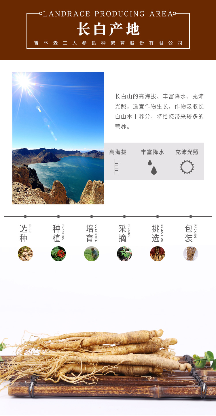 吉森参详情页_03