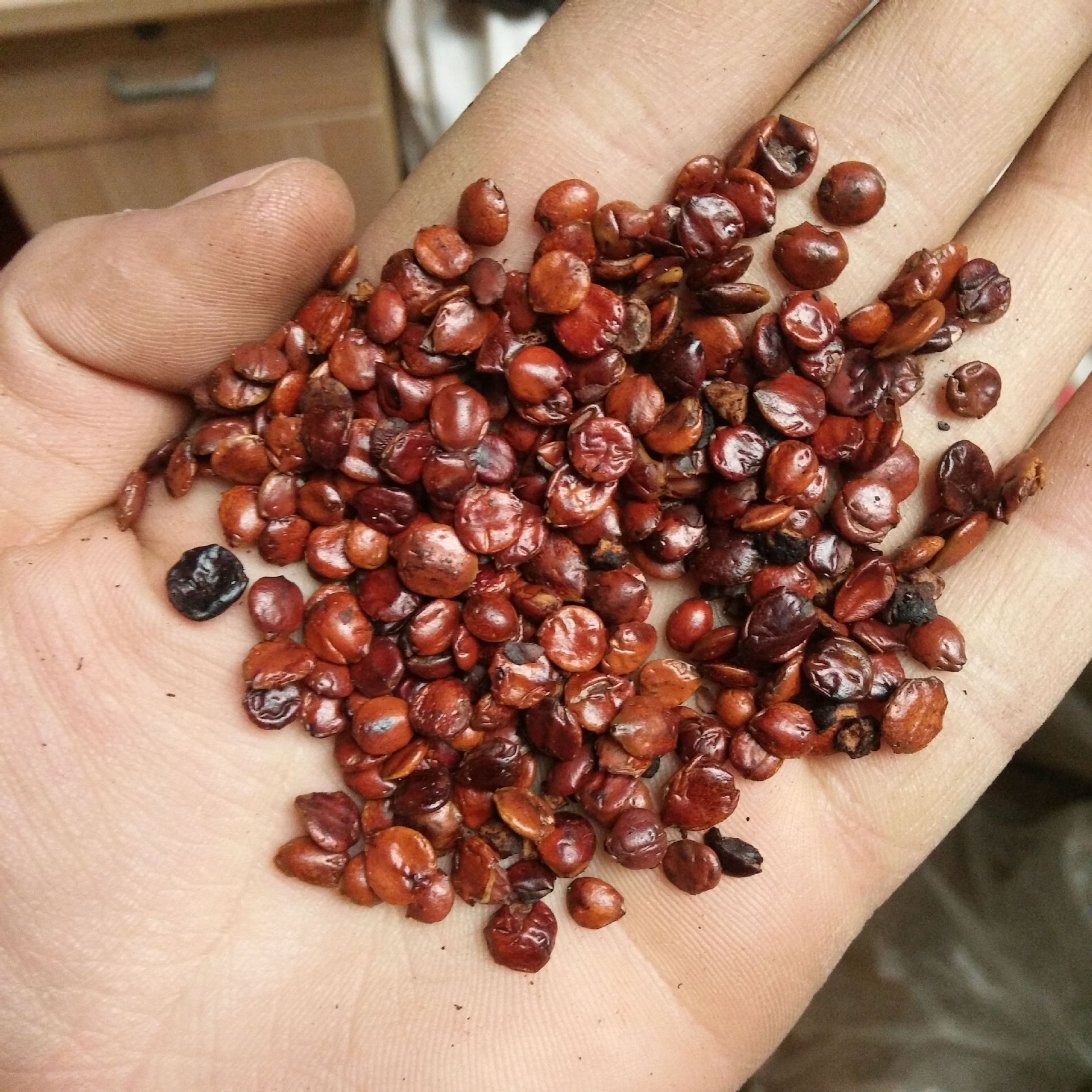 Zaoren wholesale supply Suanzaoren new goods Cooked jujube kernels Fried Zao Ren Large favorably Welcome to consult