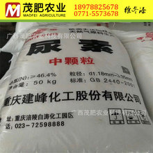 �r�I���� С�w���r������ �V���^�r�I������ �Sϲ ����