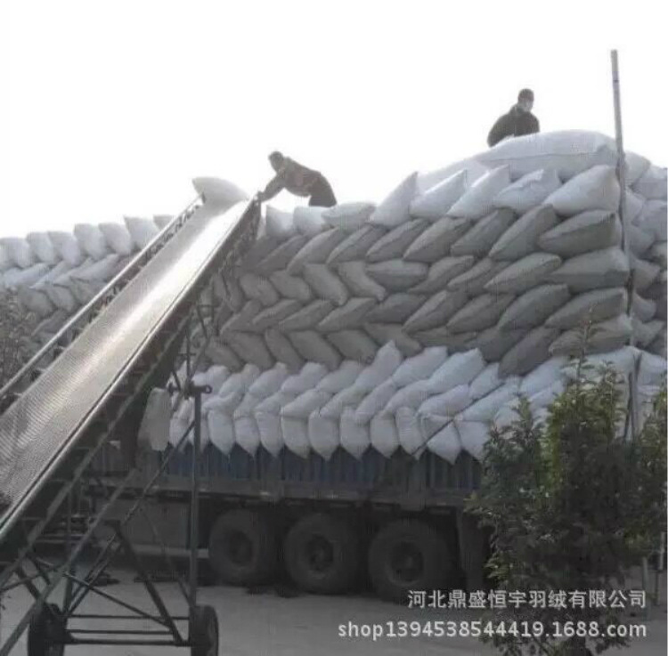 9067028272_980119599