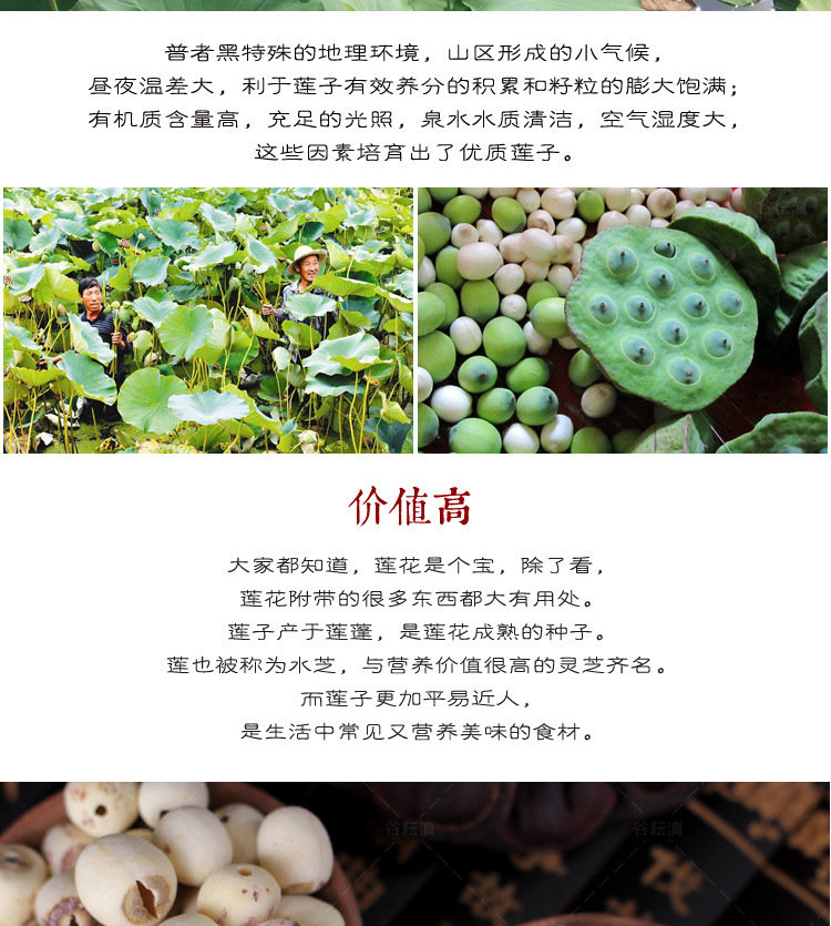 White Lotus Seeds (Nelumbo nucifera) — Core-Removed Dried Lotus Seed, 500g quality and texture