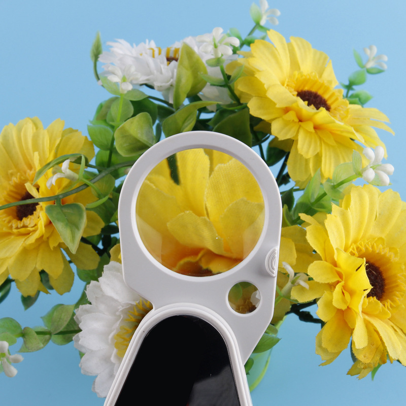 Handheld magnifying glass