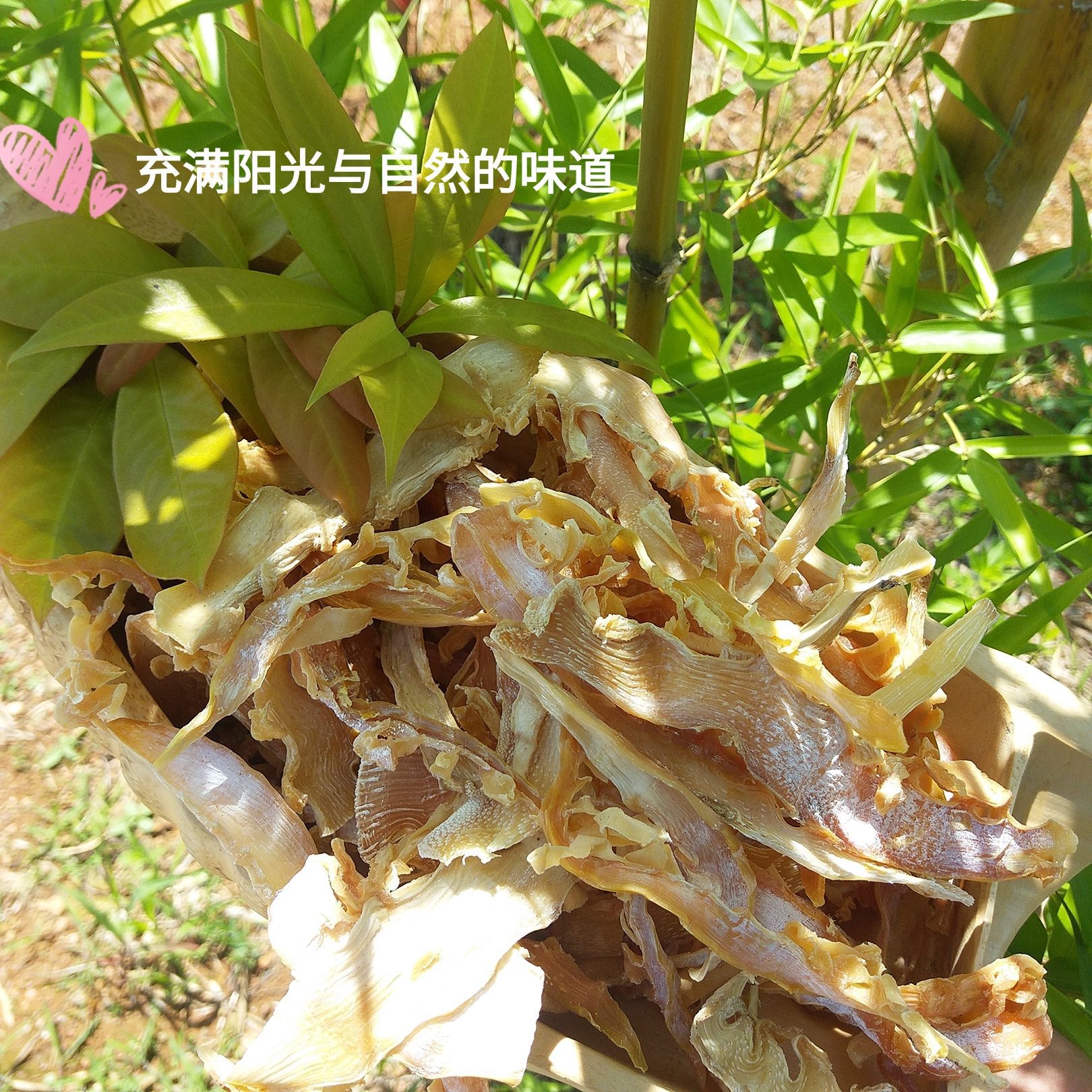 不误农时不负春 | 侯家坡村：竹笋增收“节节高”_部门乡镇_会同新闻网