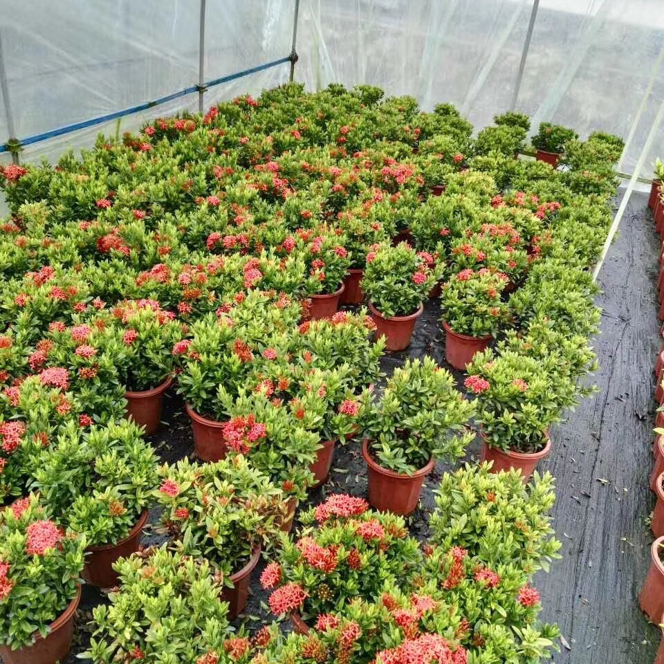 IMG_2688(20180429-105035)