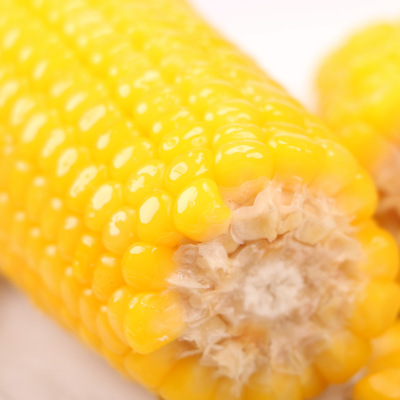 2020年新货张家口有机糯玉米 非转基因熟玉米 真空包装黄玉米10穗