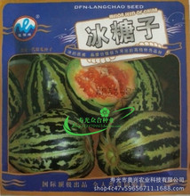蔬菜种子 甜瓜种子 冰糖子 杂交甜瓜种子脆瓜 香瓜 种子 10克