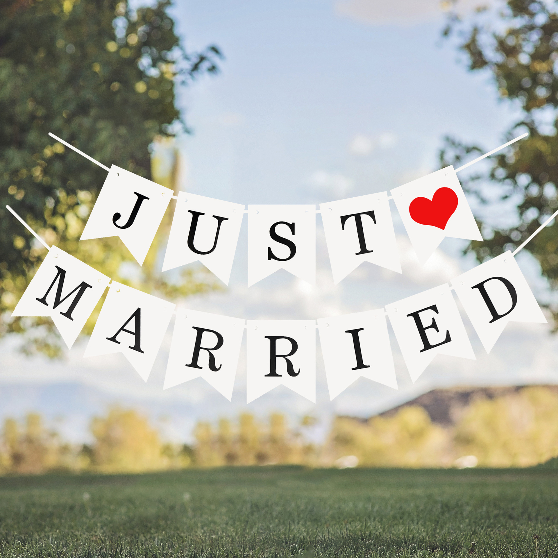 JUST MARRIED?景2.jpg