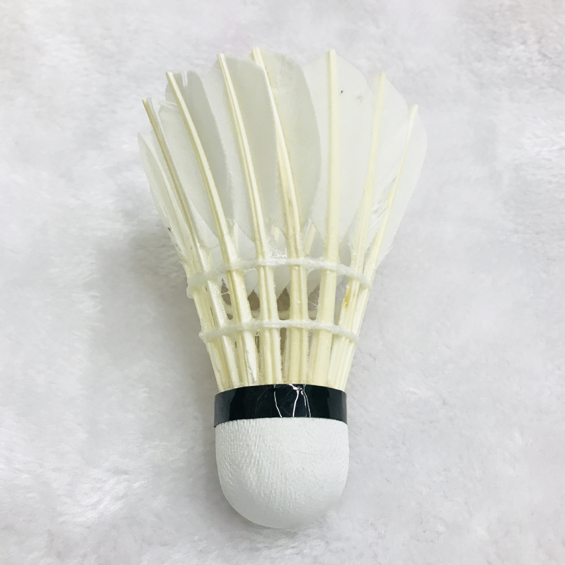 IMG_3099(20180305-110709)