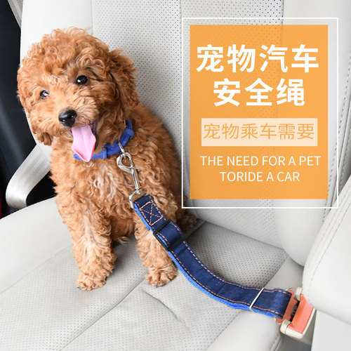 Amazon Dog Car Seat Belt Pet Car Safety Leash Back Seat Leash Leash