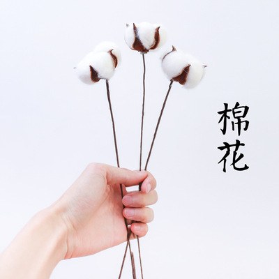鐵絲杆棉花幹花手工花頭 橡果雪松果 裝飾插花永生花拍攝道具飾品