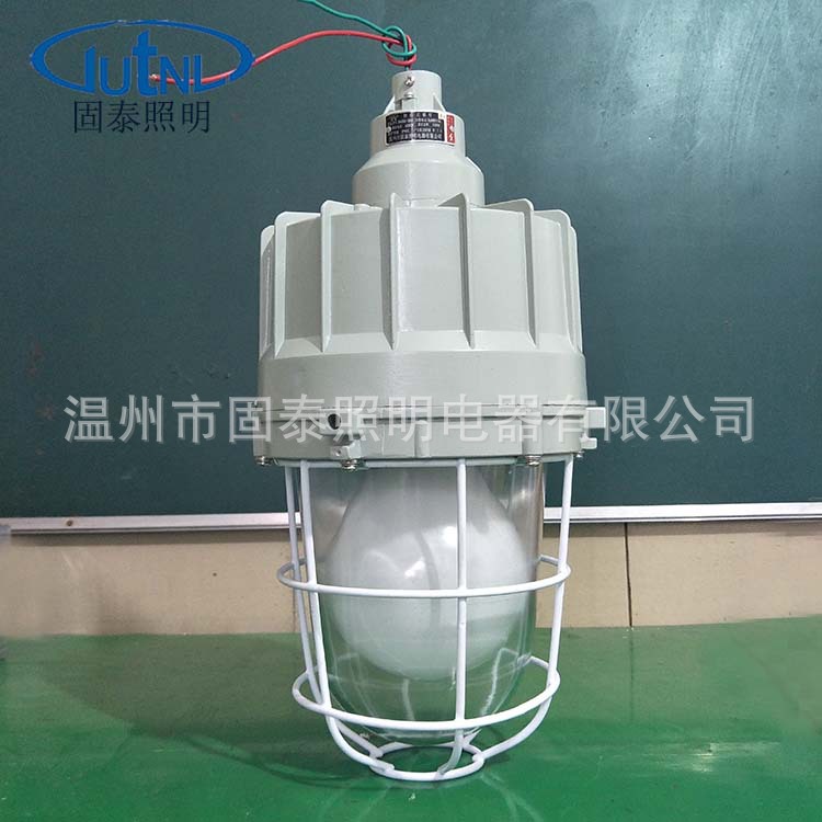 隔爆灯 BAD83-125W 防爆高频无极灯 40W/85W/125W 出厂价直销