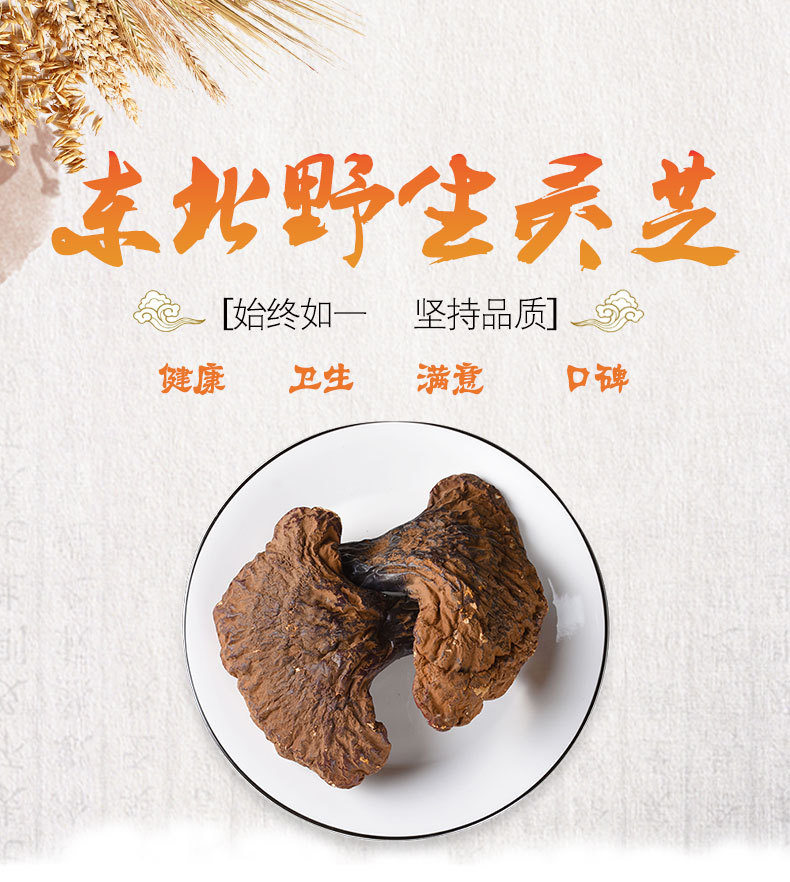 Reishi Mushroom Slices (Ganoderma lucidum) — Dried Chi Zhi from Changbai Mountain, Jilin overview