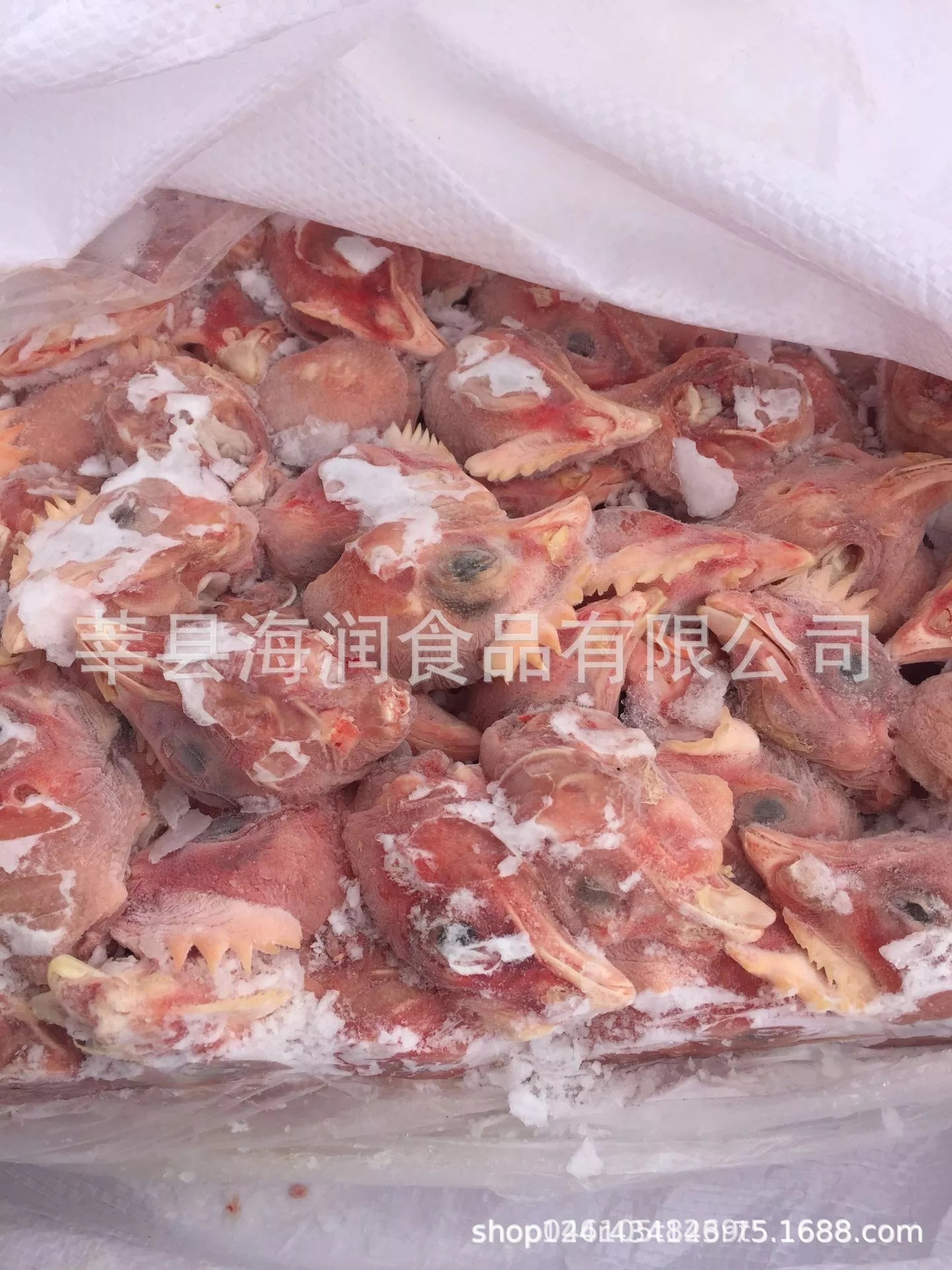 肉食动物饲料 冻鸡头 脱毛小鸡 皮脖