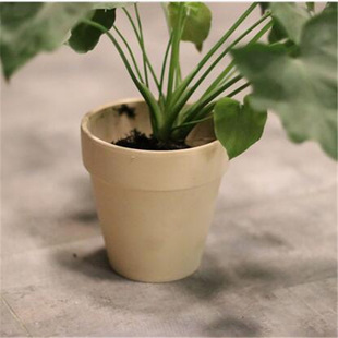 ���⻨��Gֲ����ҾӺ��s���L�Ҽt�ջ���