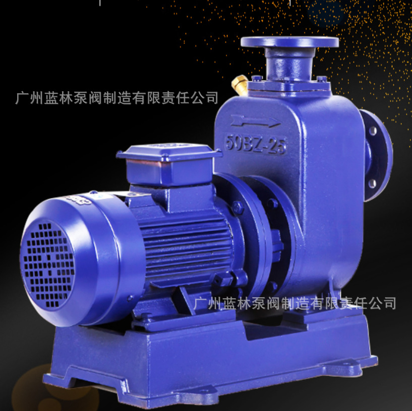 ZW自吸排污泵/BZ自吸泵 无堵塞自吸排污泵 80BZ-30自吸泵