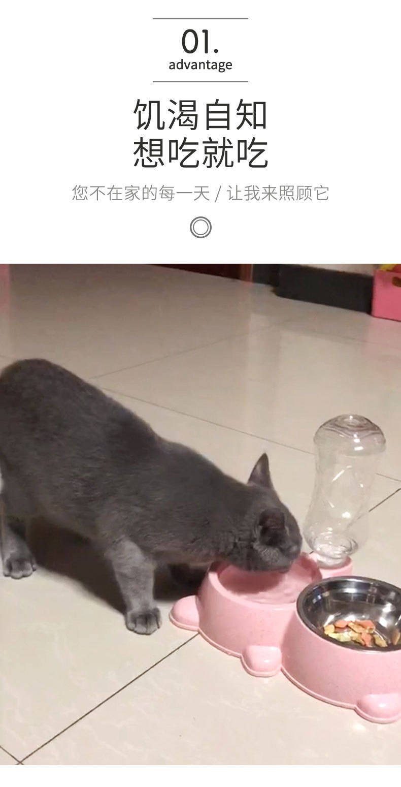 喂食器猫