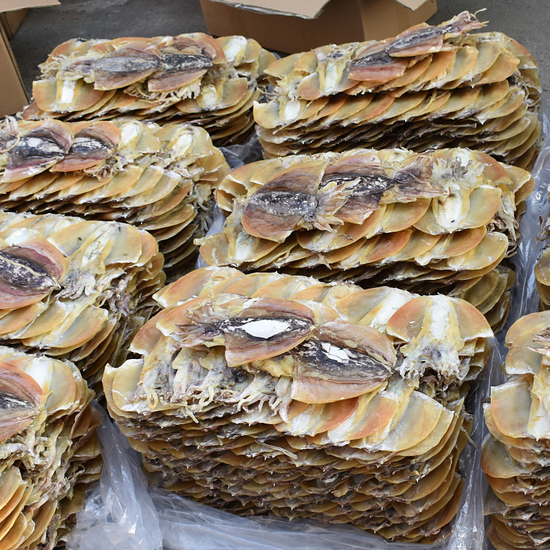 北海产地批发墨鱼干 多规格 4-5个7-10干墨鱼海鲜干货 货源足500g