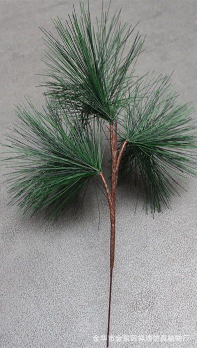 3头松针3.jpg