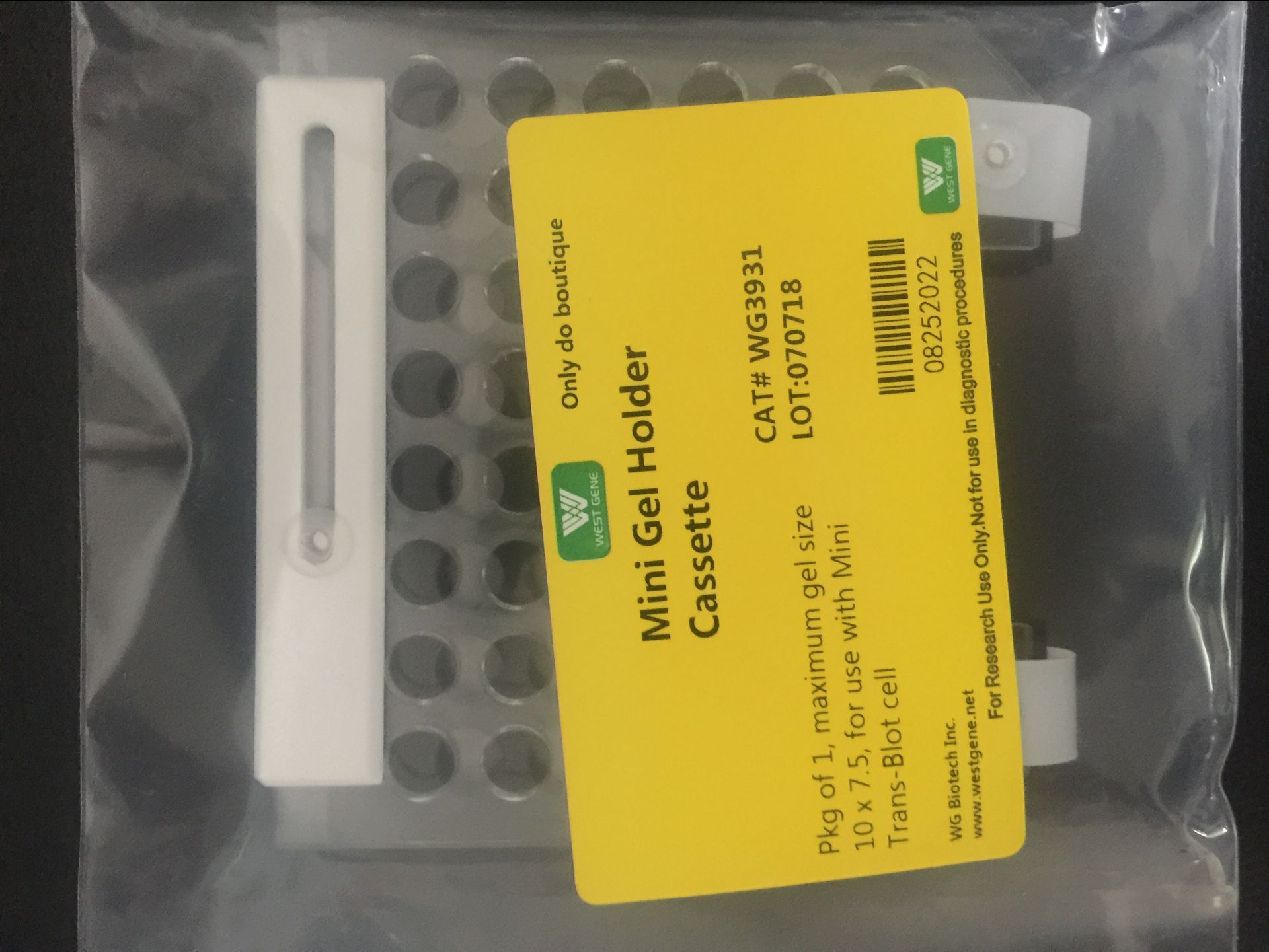 电泳转印夹(转膜夹) WG3931