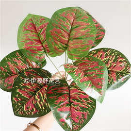 【现货供应】9头条纹圆萝 高档过胶手感仿真植物墙配材苹果叶