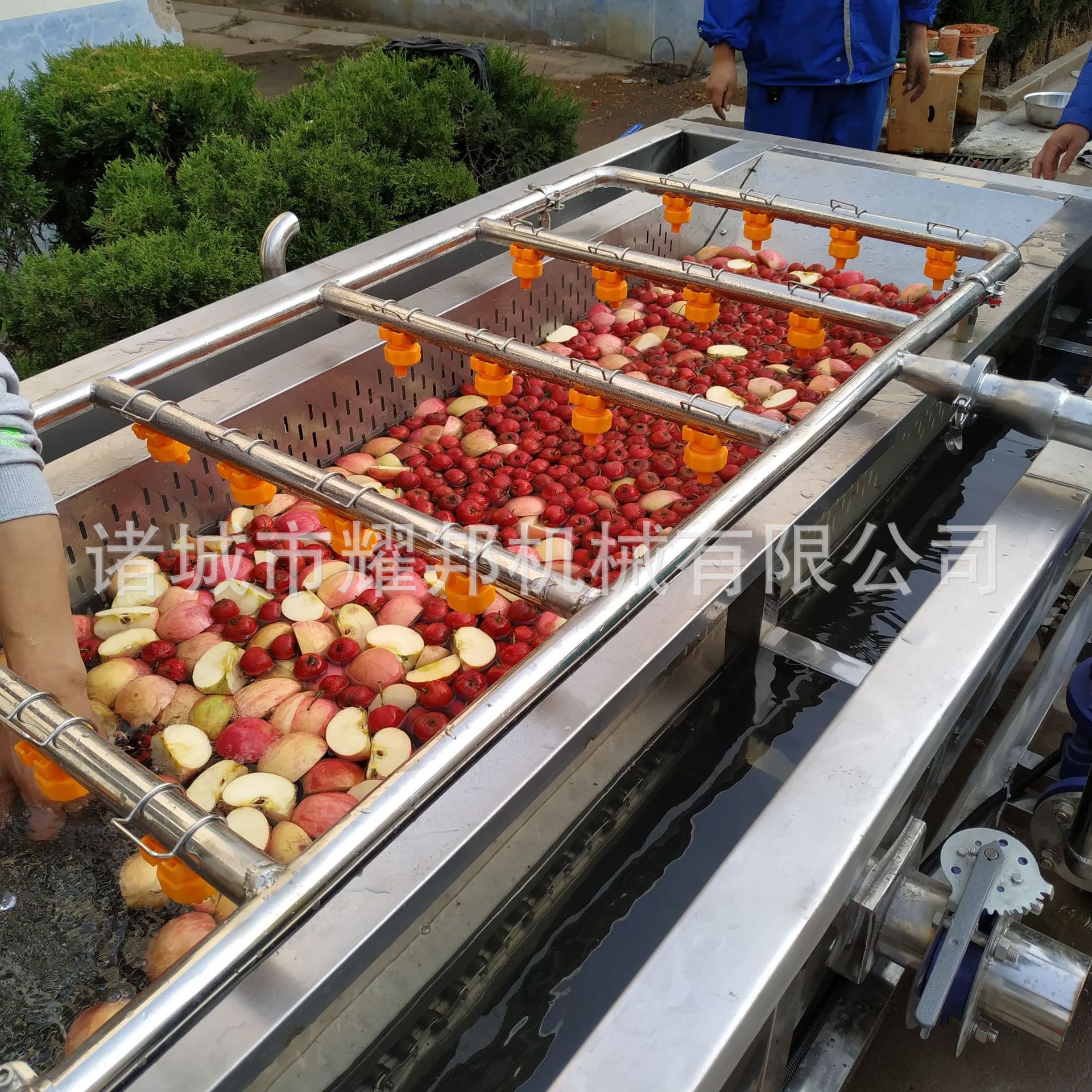 樱桃车厘子气泡清洗机 果蔬变频调速 全自动高压喷淋气泡洗菜机