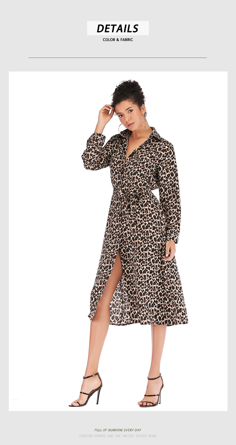 Leopard Print Lace-up Sexy Long Sleeve Dress NSJR33360