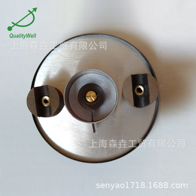 ע��ģ����˫�����¶ȼ� ������������¶�ST200DM 0-400��