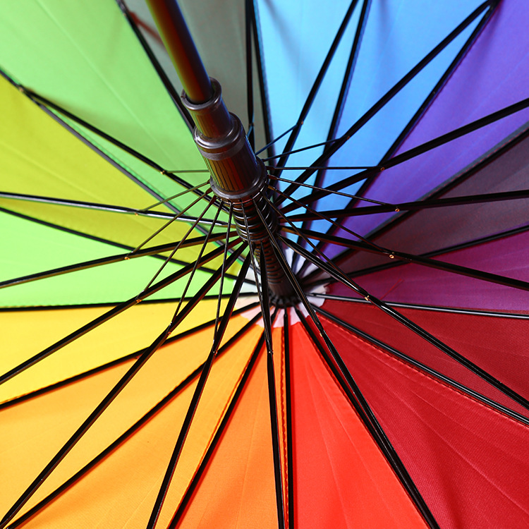 未标题-2_0079_IMG_6776