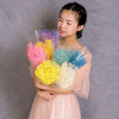 永生花梦幻草百万星天然花束家居摆设装饰品艺术插花配饰拍摄道具|ms