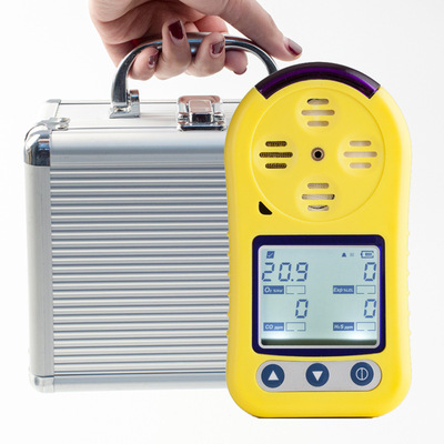 便携式氧气检测仪氧气浓度检测仪空气氧气含量分析仪O2报警器缺氧|ms