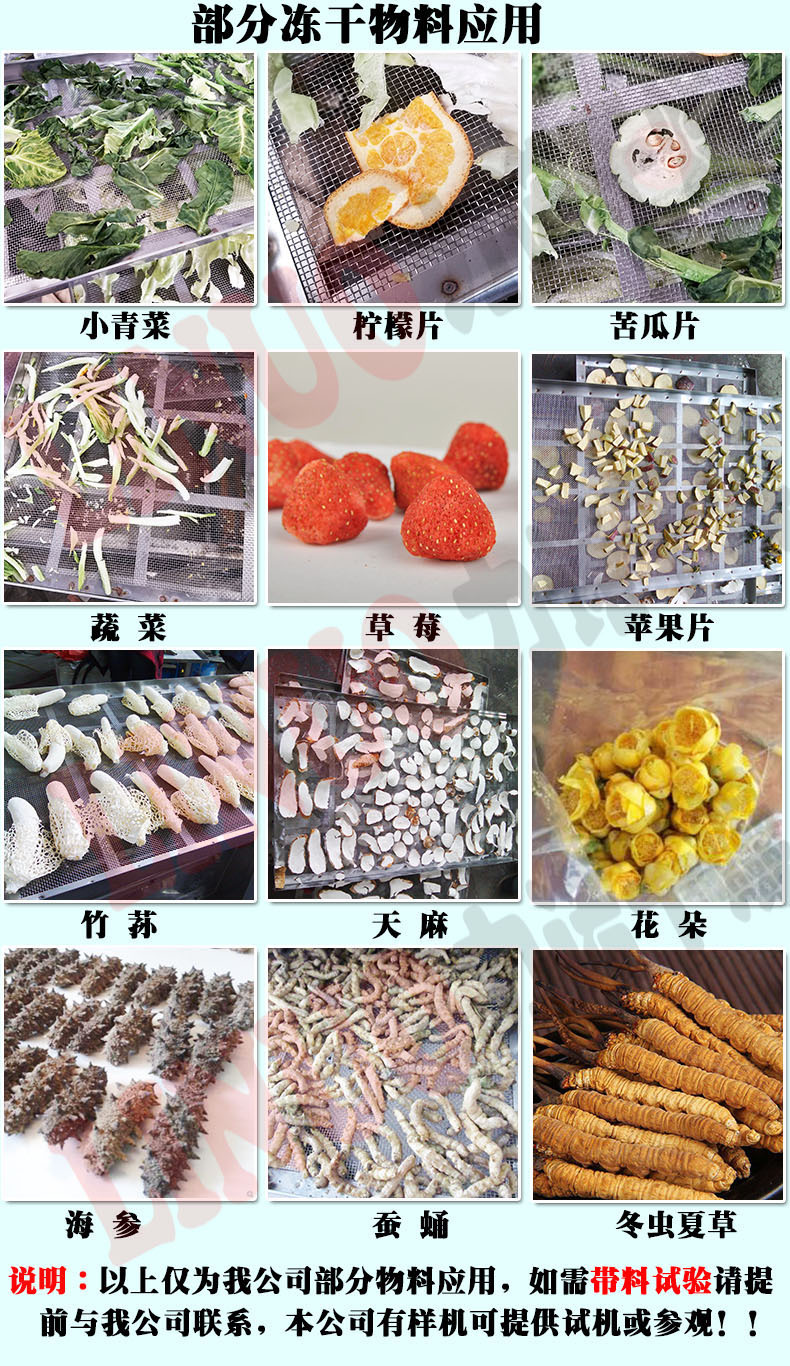 试料.jpg