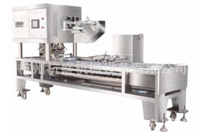 豆腐生产线,10年干豆腐,水豆腐,油豆腐,日本豆腐生产线设备制造