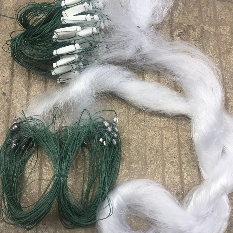 QQ图片20180307155125