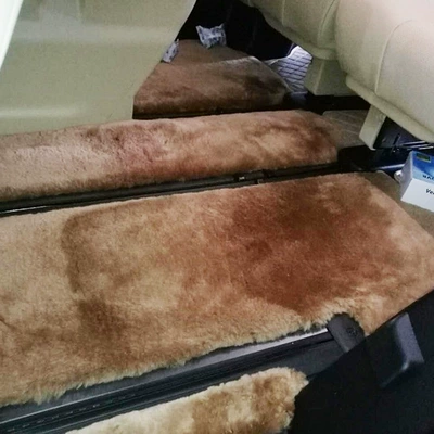 Car Carpet — Direct sales 2019 new customized.