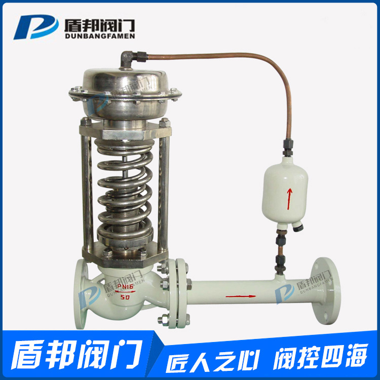 自力式压力调节阀 蒸汽高温压力调节阀 先导式压差压力控制阀 ZZY|ru