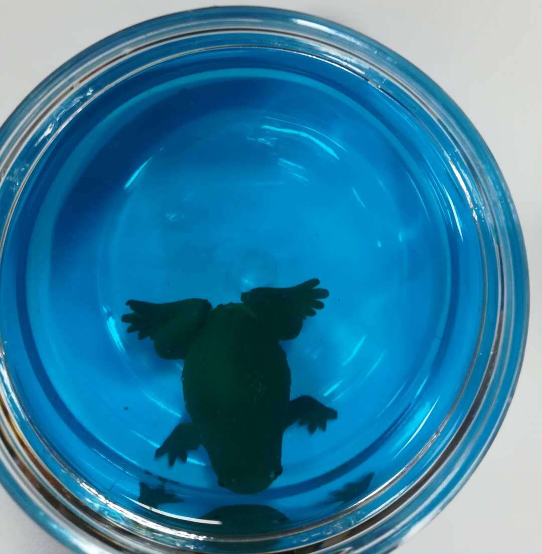 微信图片_201809111618233