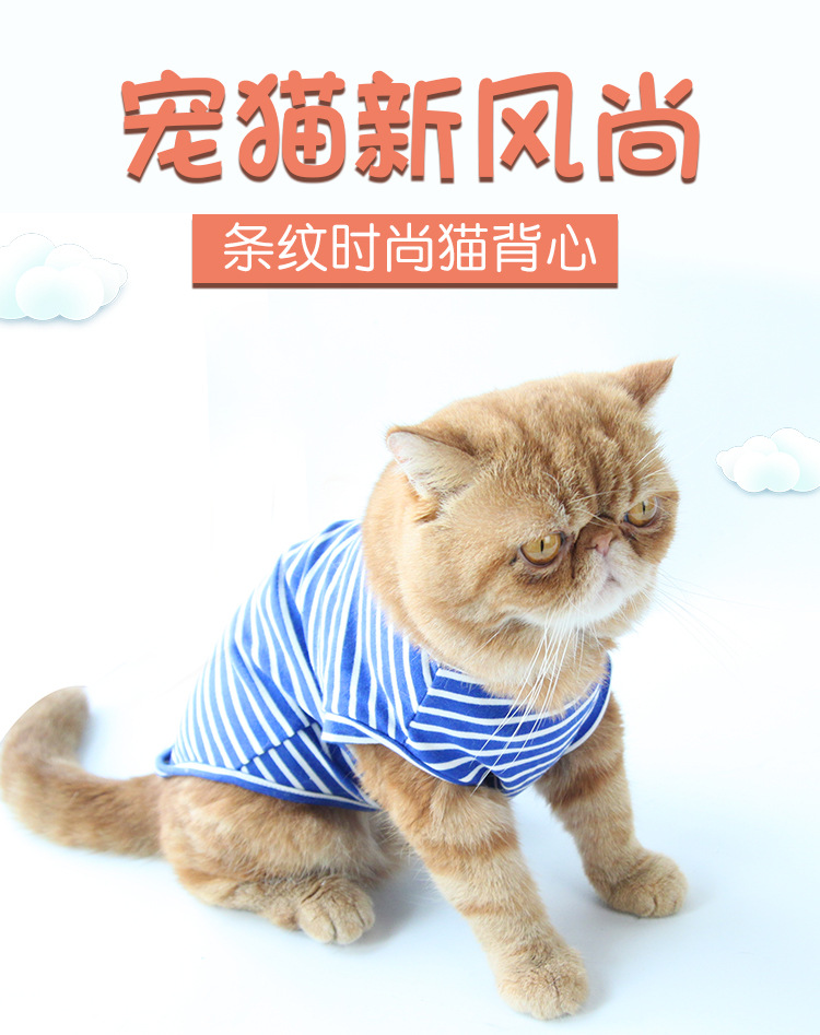 春夏新款宠物衣服猫咪条纹T恤清晰棉质猫猫衣服厂家批发|ms