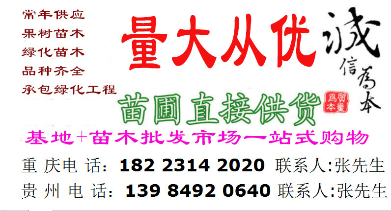 4453774954_1256678885