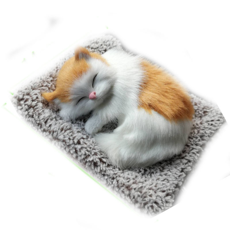 炭包猫咪白底图