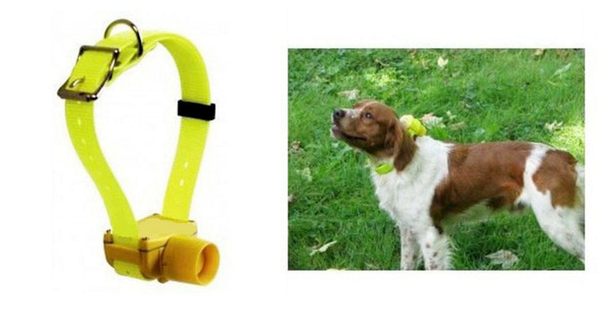 QQ图片20181219094627