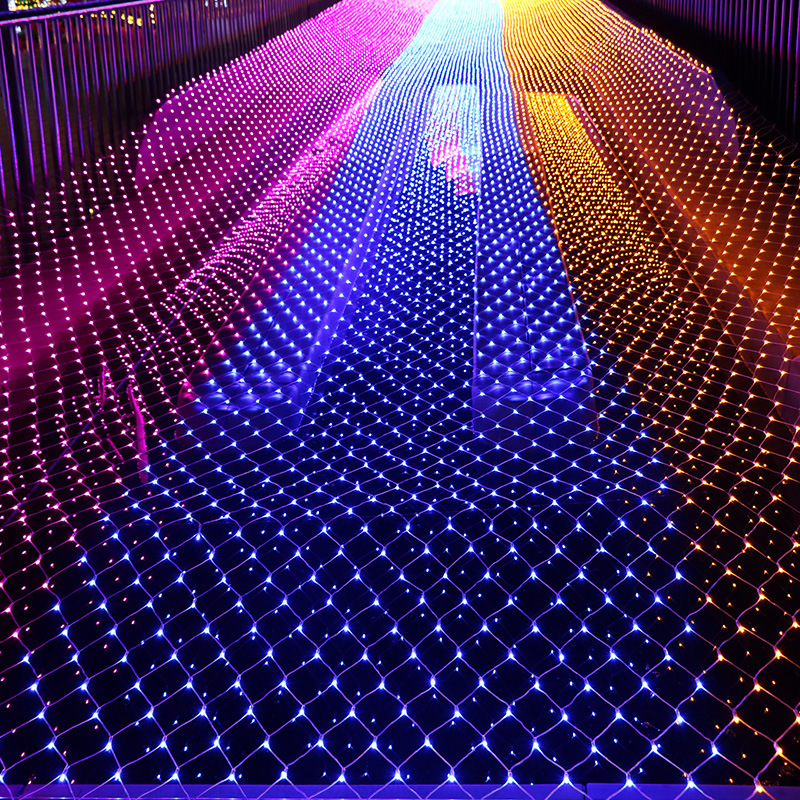 8892501736_1241356606