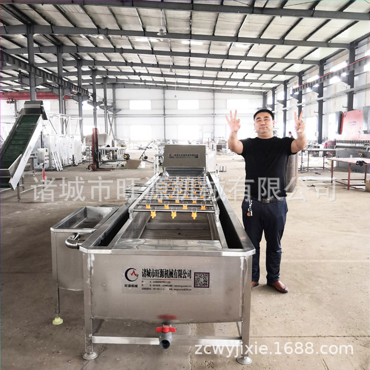 苹果高压喷淋清洗机 草莓清洗机  净菜清洗流水线 厂家供货