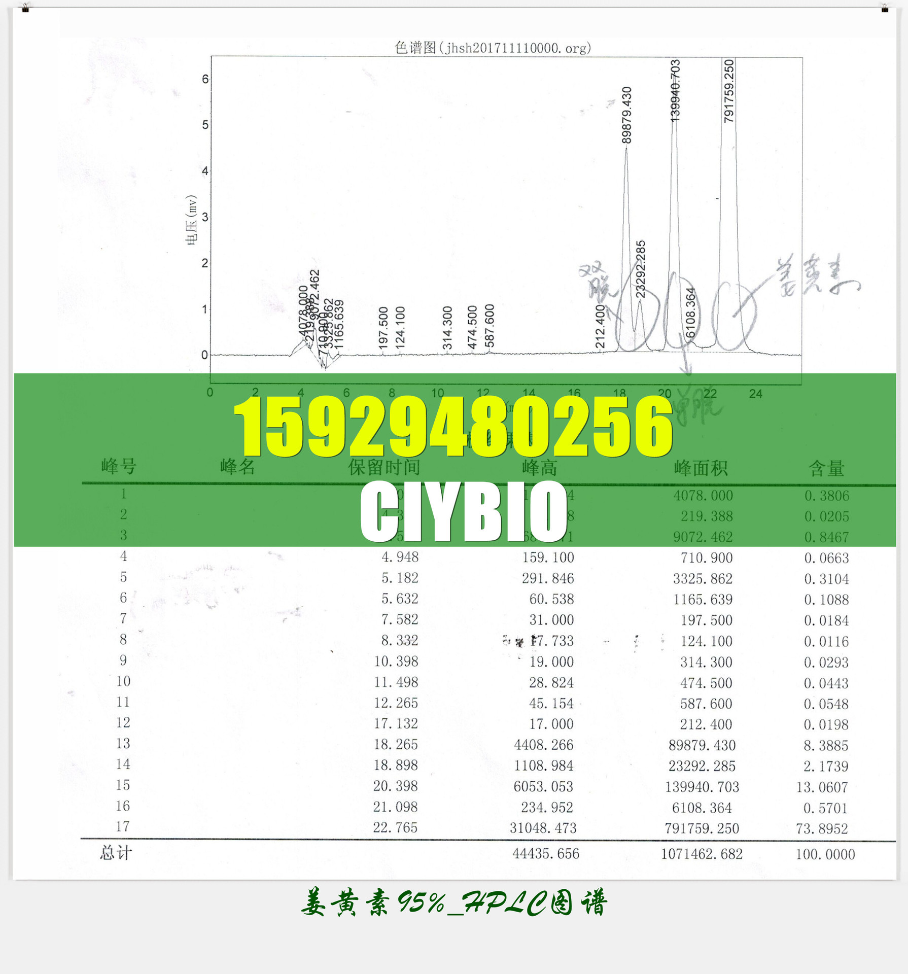 姜黄素-图谱_广告用