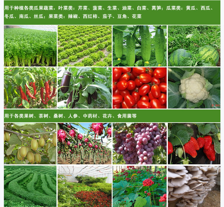 种植益生菌原菌种