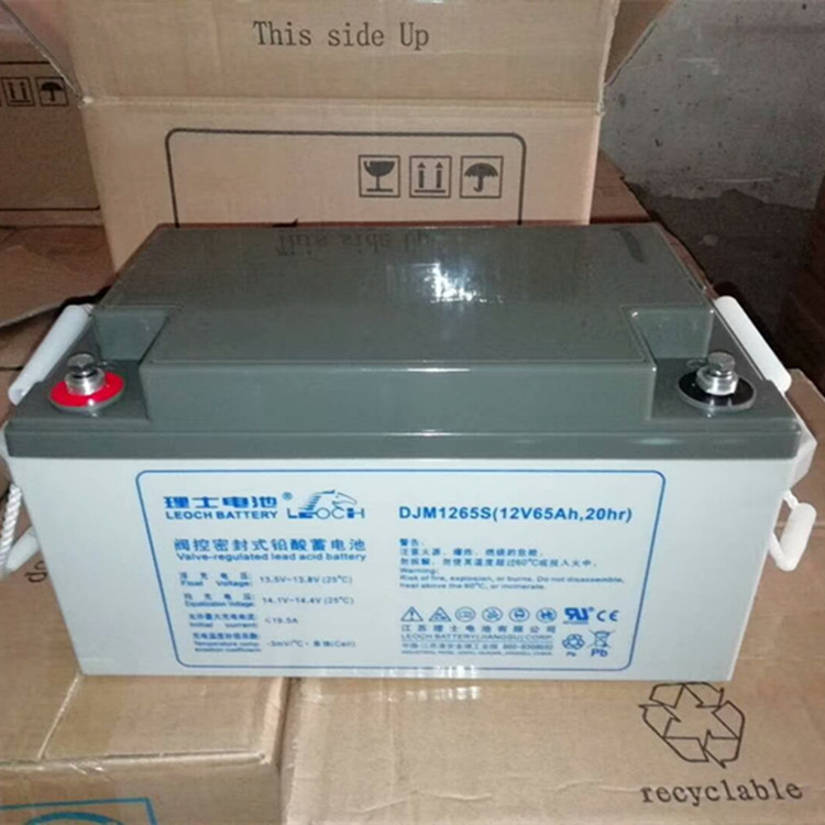 理士蓄电池DJM1265 12V6H数据机房 UPS.EPS直流屏服务器