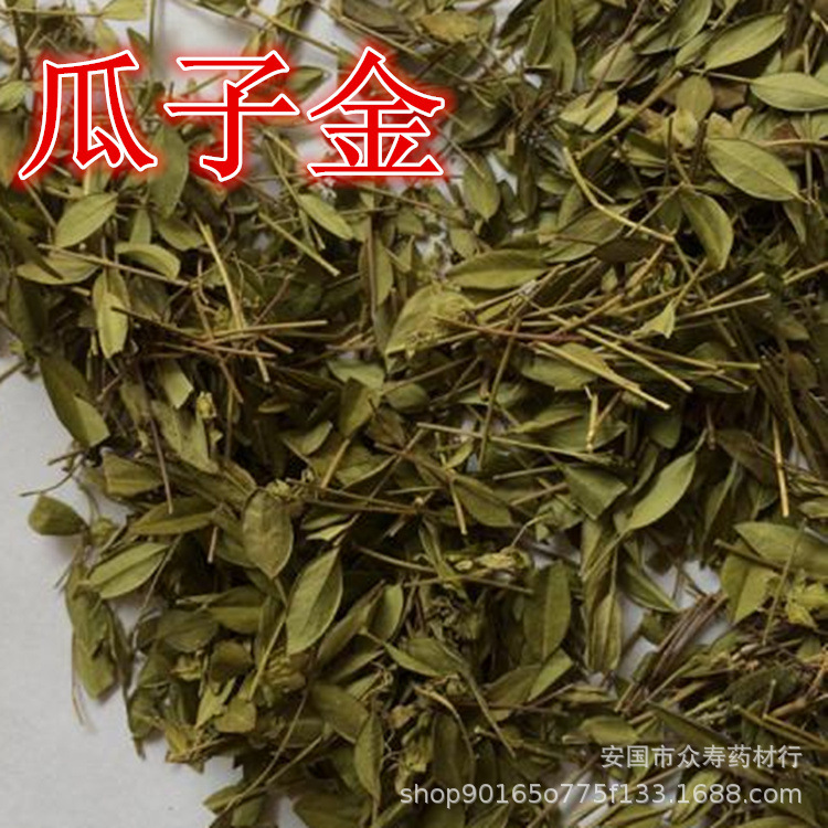 中药材 瓜子金 金不换金锁匙产后草另售各种冷背草药咨询客服-阿里巴巴