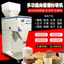 20-3000克大容量分装机 定量分装机食品杂粮大米洗衣粉称重灌装机