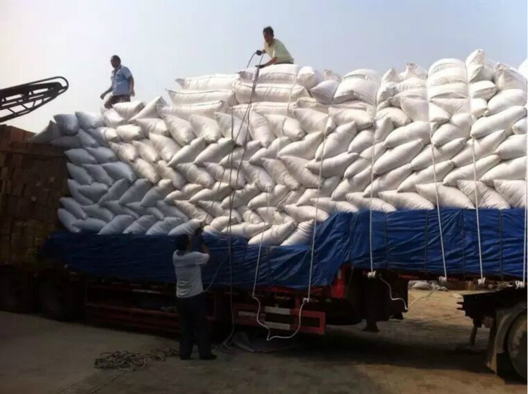 9048613127_980119599